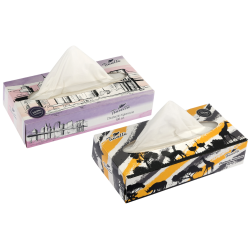 Chusteczki higieniczne 2-warstwowe box 100 szt.*  10342