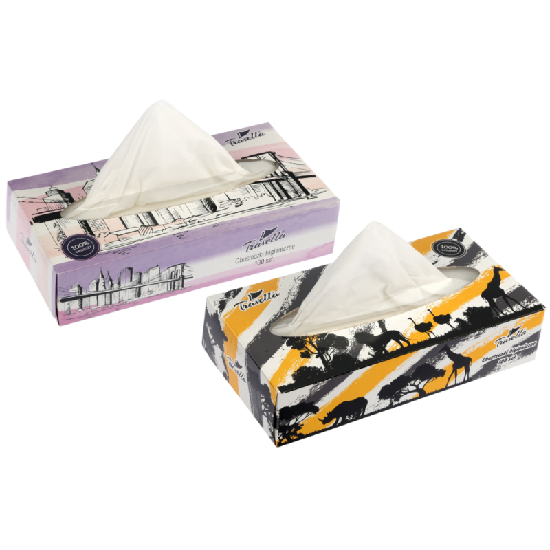 Chusteczki higieniczne 2-warstwowe box 100 szt.*  10342