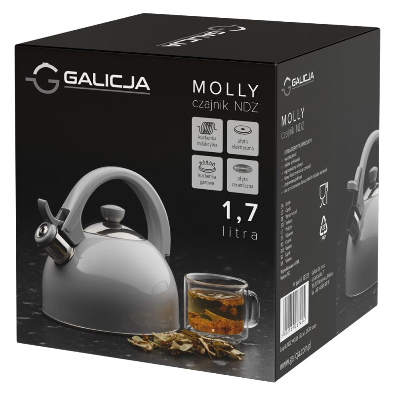 Czajnik nierdzewny MOLLY 1,7l  26741 szary
